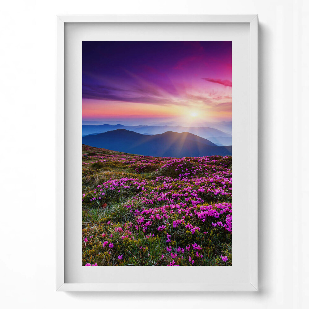 Függőleges kép keretben Virágos hegyvidék napfelkeltével