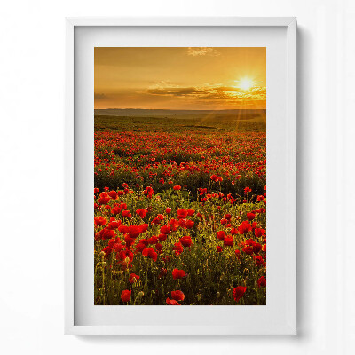 Függőleges kép keretben Vörös pipacsmező naplementében