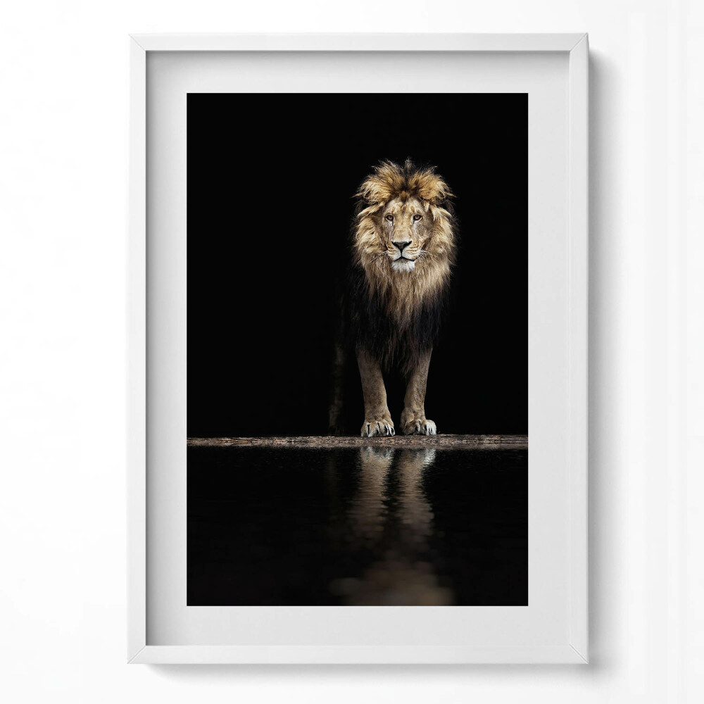 Függőleges kép keretben Oroszlán tükörképe sötét háttérrel