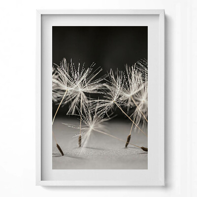 Függőleges kép keretben Pillecukor virágok közelről