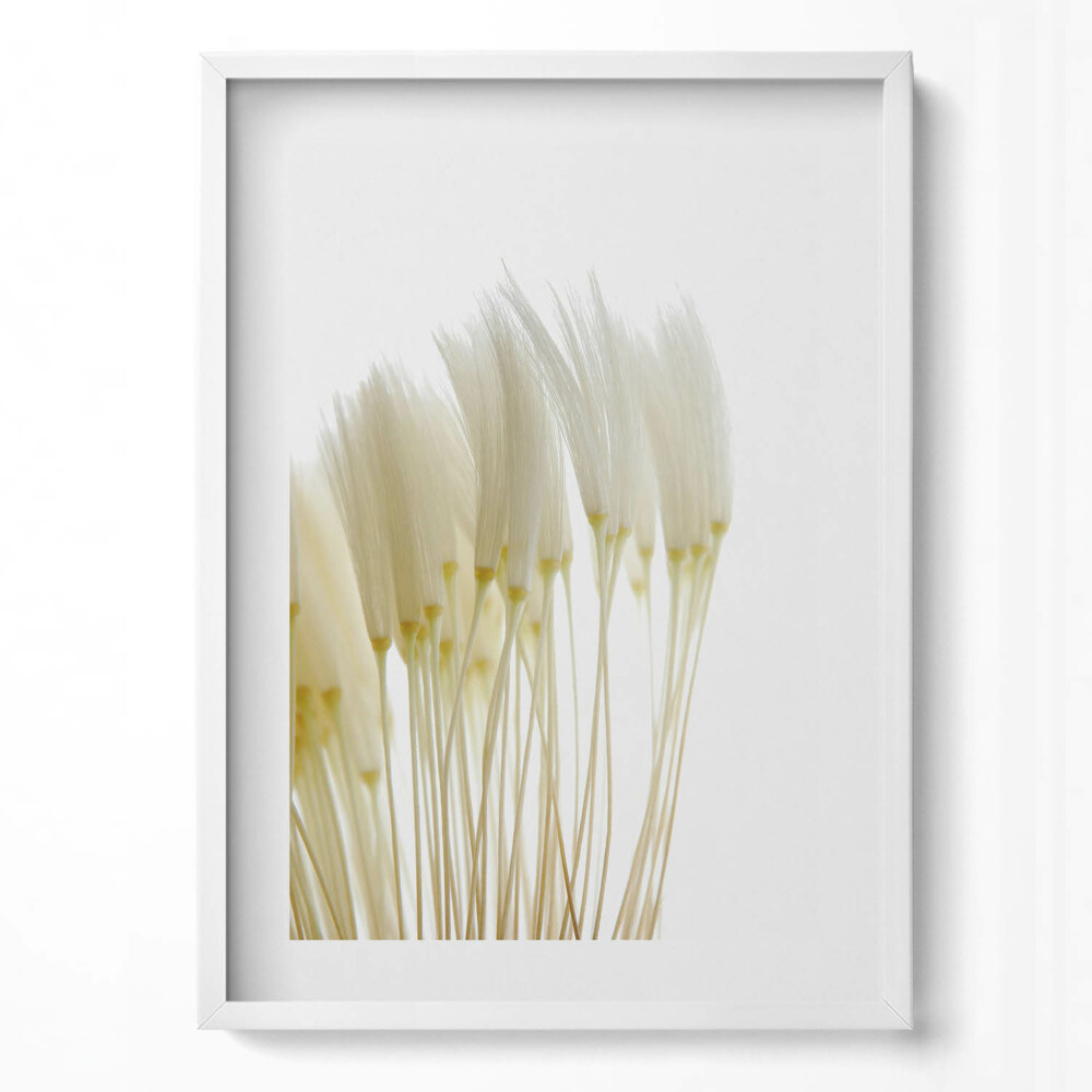 Függőleges kép keretben Fehér virágok csoportja