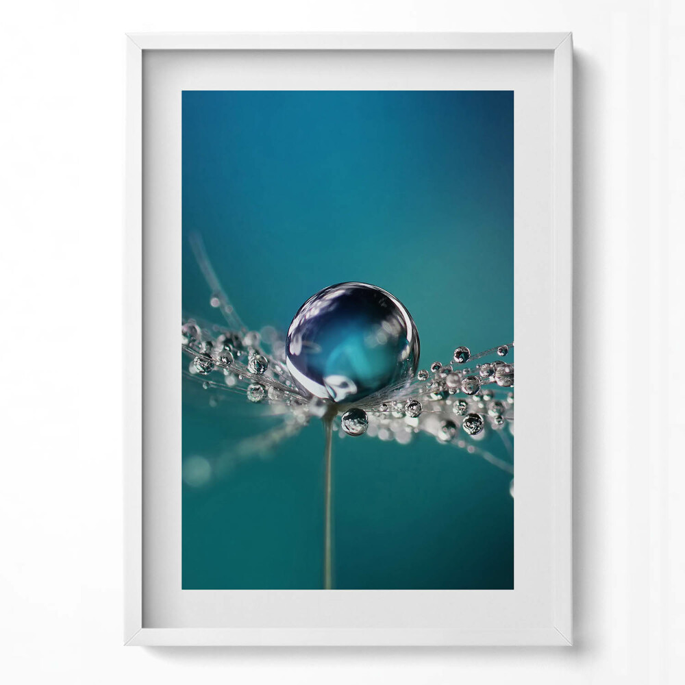 Függőleges kép keretben Vízcsepp és háló