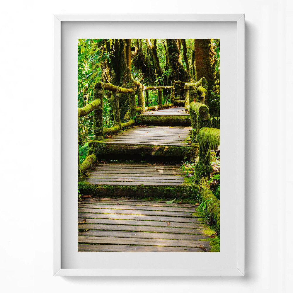 Függőleges kép keretben Zöld erdei ösvény