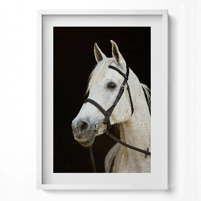 Függőleges kép keretben Fehér ló portréja