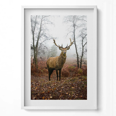 Függőleges kép keretben Szarvas ködös erdőben