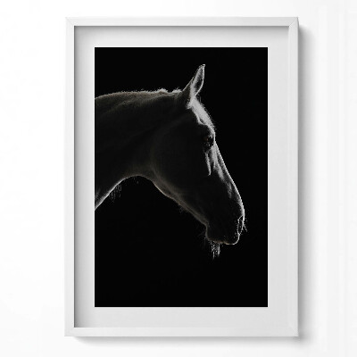 Függőleges kép keretben Fekete háttér előtt lófej profilja
