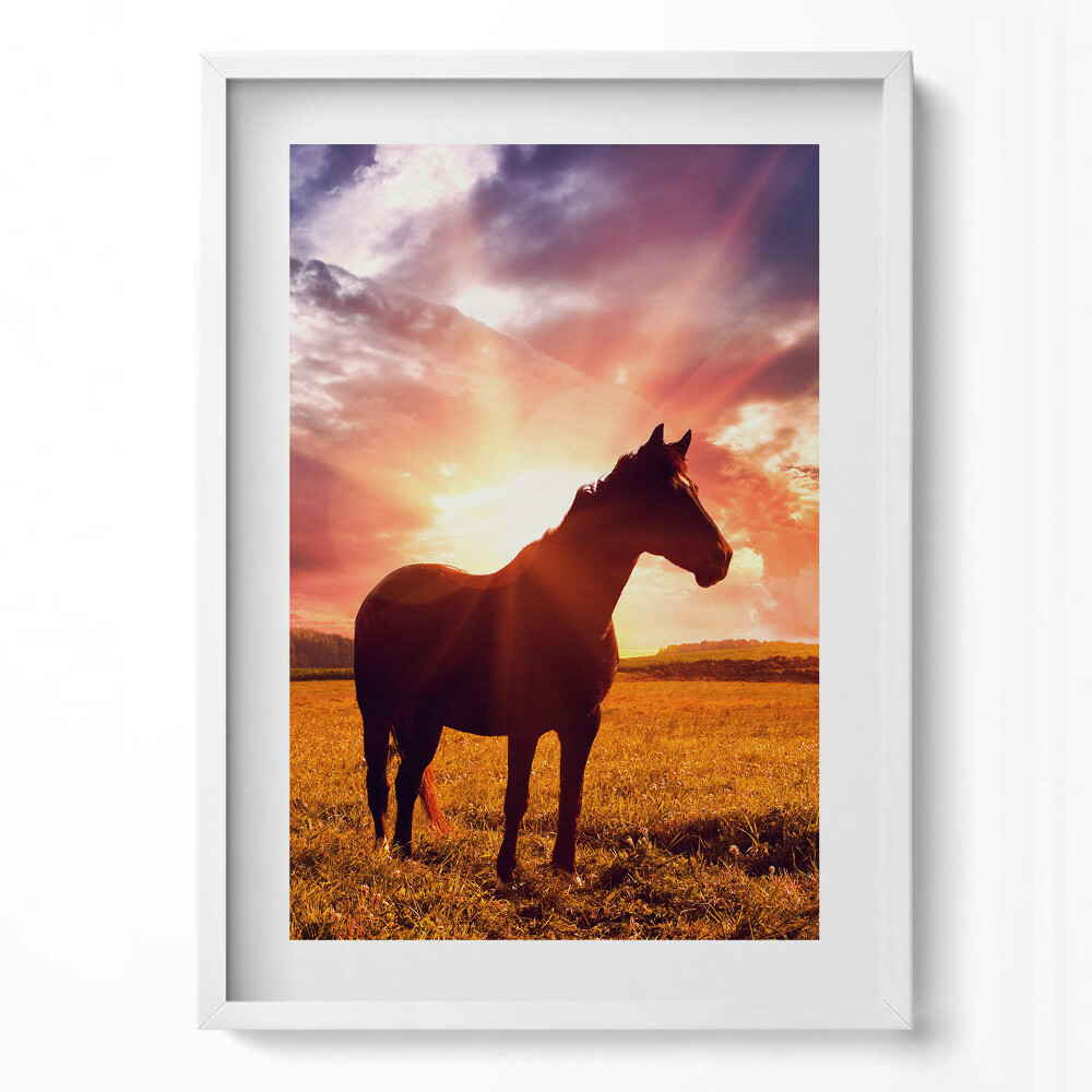 Függőleges kép keretben Fekete ló naplementében