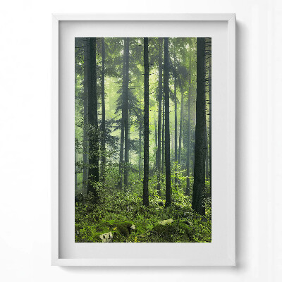 Függőleges kép keretben Zöld erdő ködben