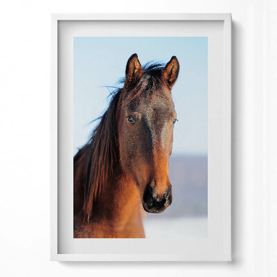 Függőleges kép keretben Ló portréja világos háttérrel