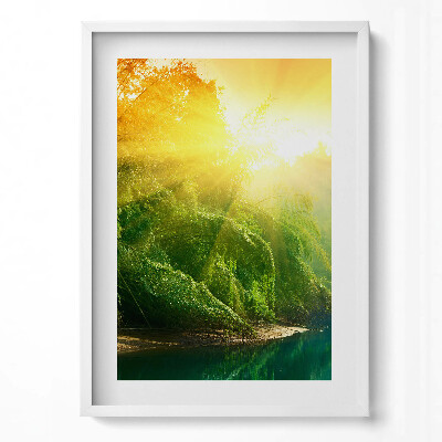 Függőleges kép keretben Napfényes erdei táj