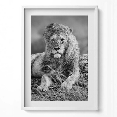 Függőleges kép keretben Fekete-fehér oroszlán portréja