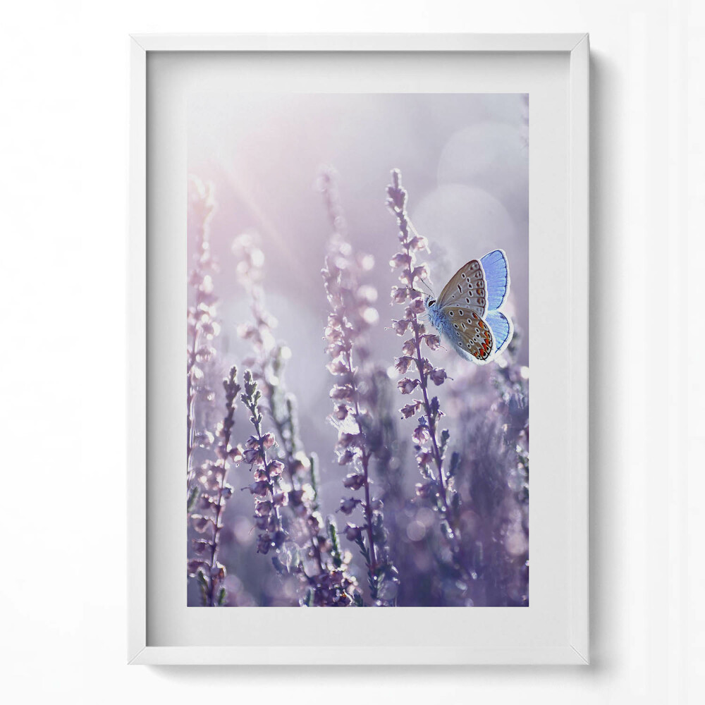 Függőleges kép keretben Lila virágok és pillangó