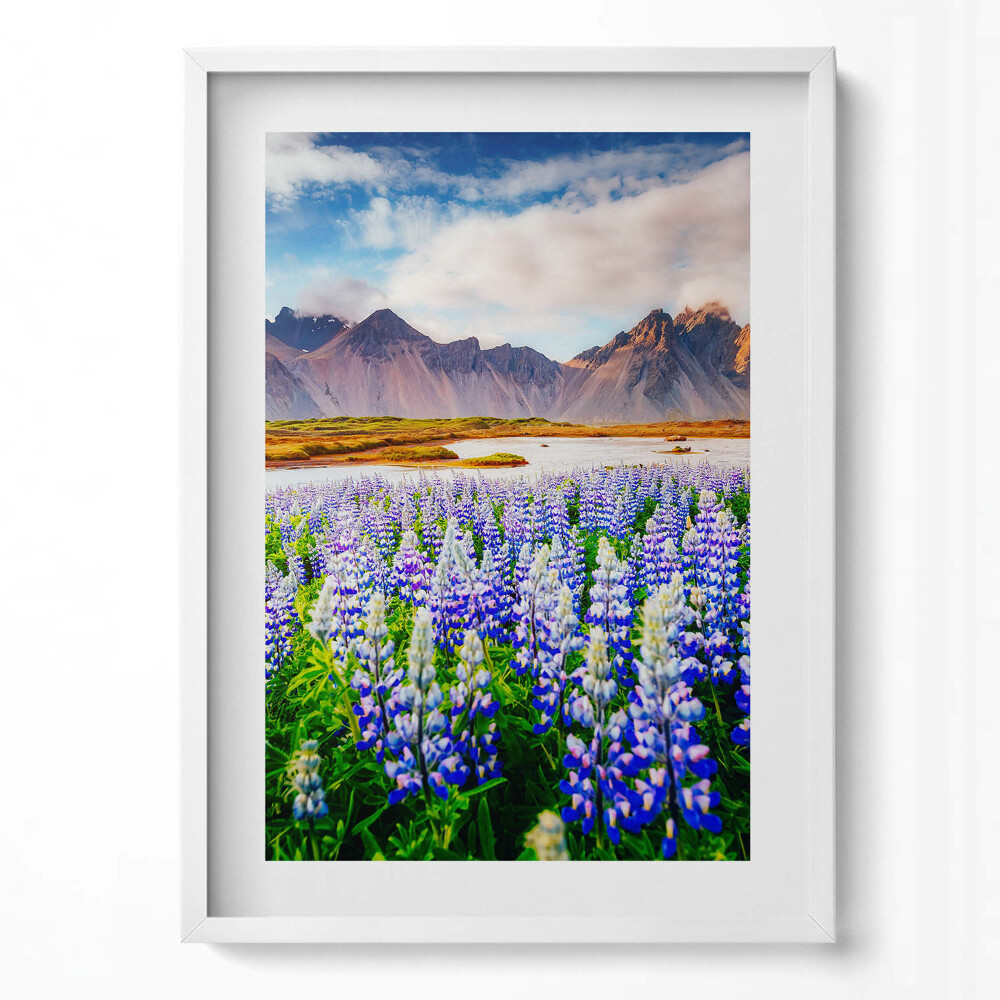 Függőleges kép keretben Lupinok virágzó mezője hegyekkel