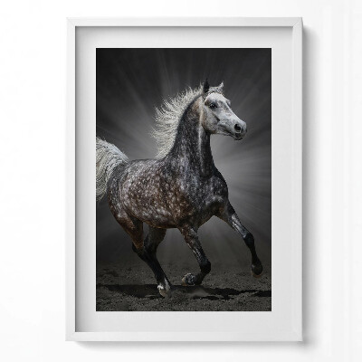 Függőleges kép keretben Futó ló fényes háttérrel