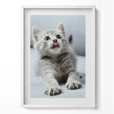 Függőleges kép keretben Cuki nyújtózó macska