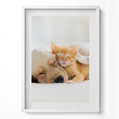 Függőleges kép keretben Kutyus és cica együtt alszanak