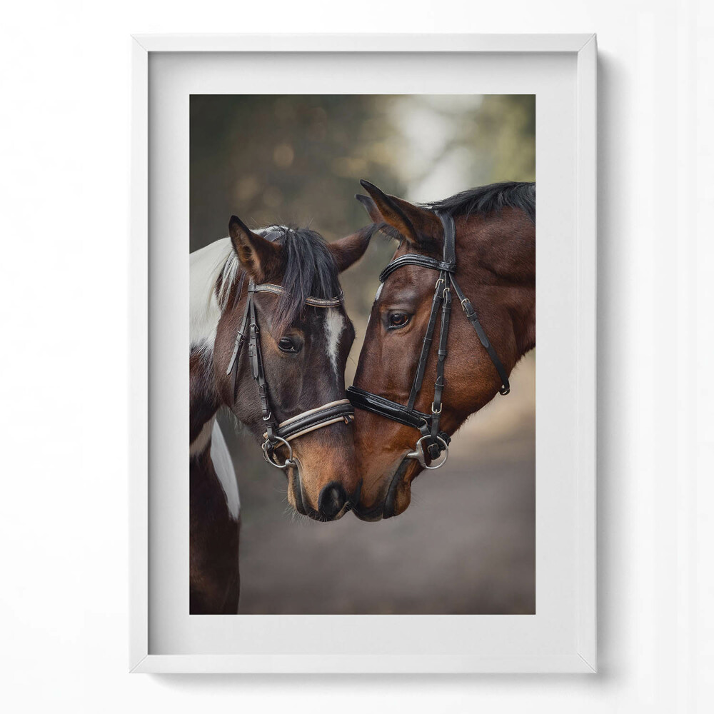 Függőleges kép keretben Két ló összeborulása
