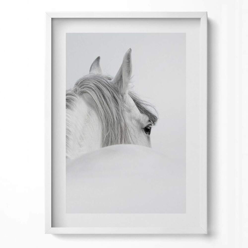 Függőleges kép keretben Fehér ló profilja