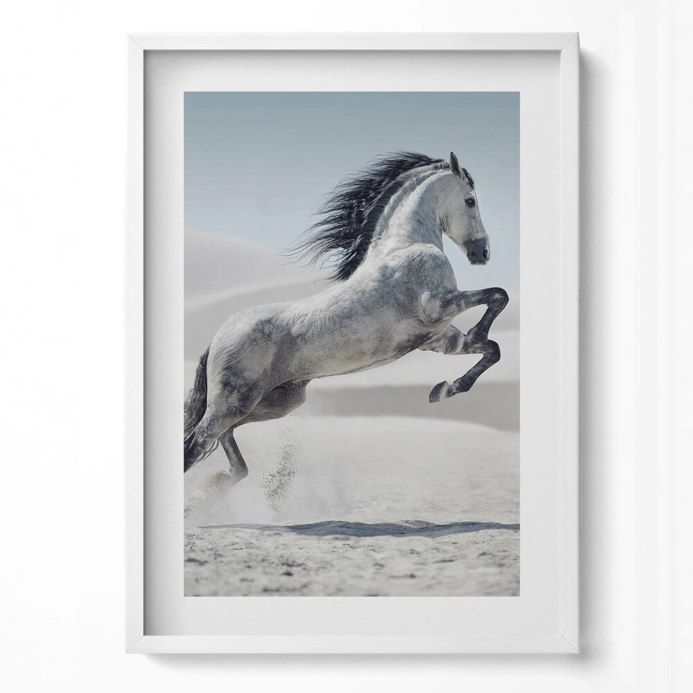 Függőleges kép keretben Futó ló a homokban
