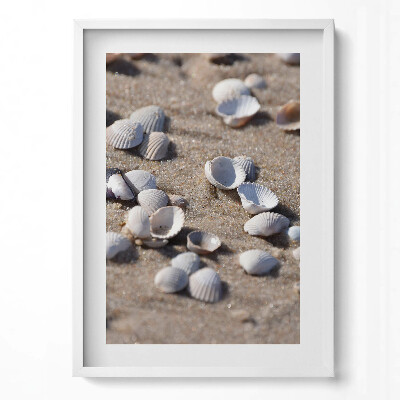 Függőleges kép keretben Héjhéjak tengerparti homokban