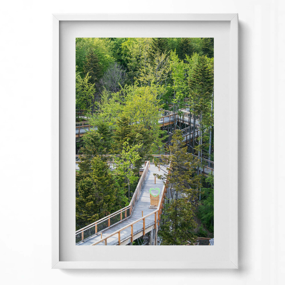 Függőleges kép keretben Zöld fák és fapalló