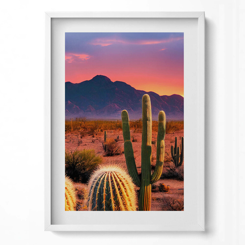 Függőleges kép keretben Sivatagi táj kaktuszok naplemente