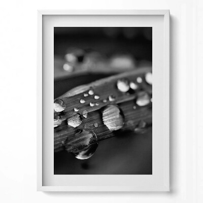 Függőleges kép keretben Esőcseppek egy levélen