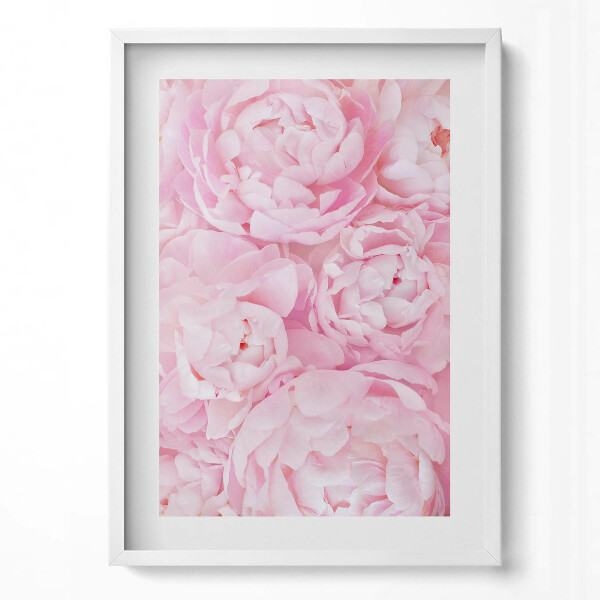 Függőleges kép keretben Rózsaszínű virágok peóniák