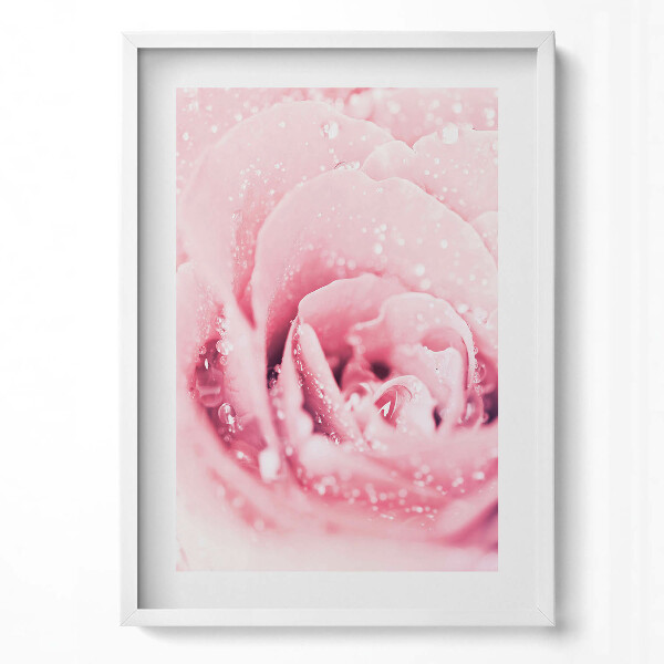 Függőleges kép keretben Rózsás virág vízcseppekkel