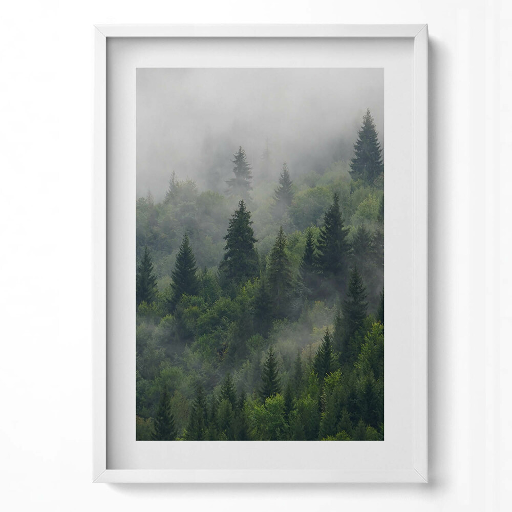 Függőleges kép keretben Zöld erdő ködben