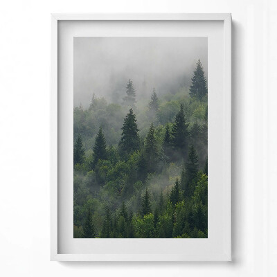 Függőleges kép keretben Zöld erdő ködben