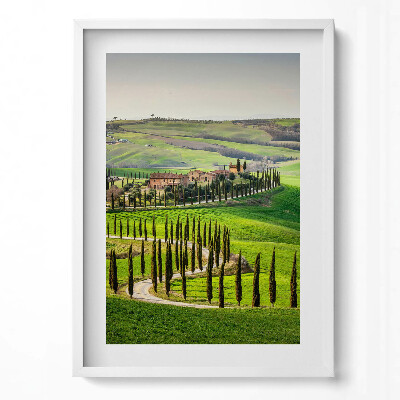 Függőleges kép keretben Toszkán táj ciprusfák sorai