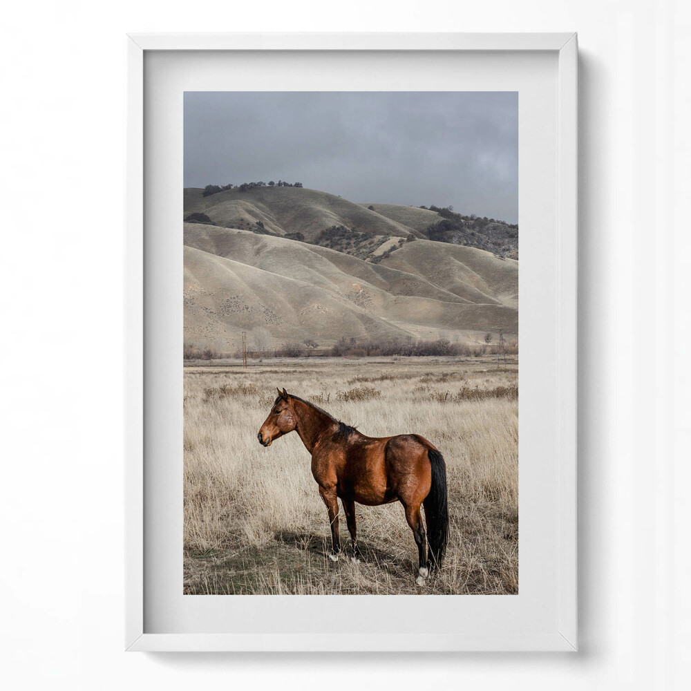 Függőleges kép keretben Ló a dombos tájban