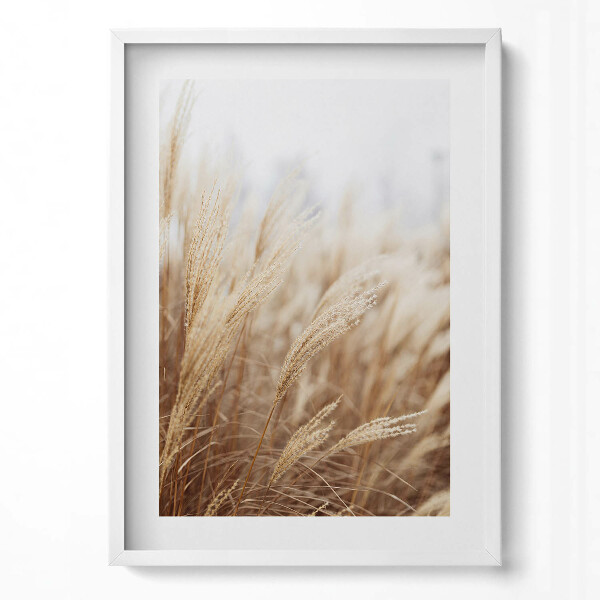 Függőleges kép keretben Száraz fű a természetben