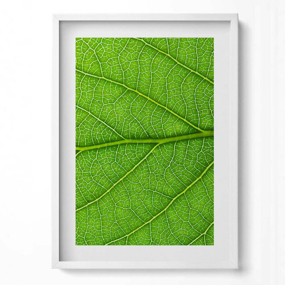 Függőleges kép keretben Zöld levél textúrája