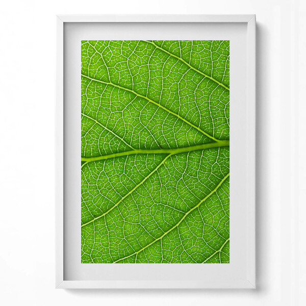 Függőleges kép keretben Zöld levél textúrája
