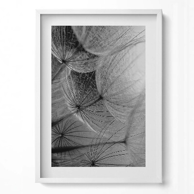 Függőleges kép keretben Pókháló-szerű dandelion magok