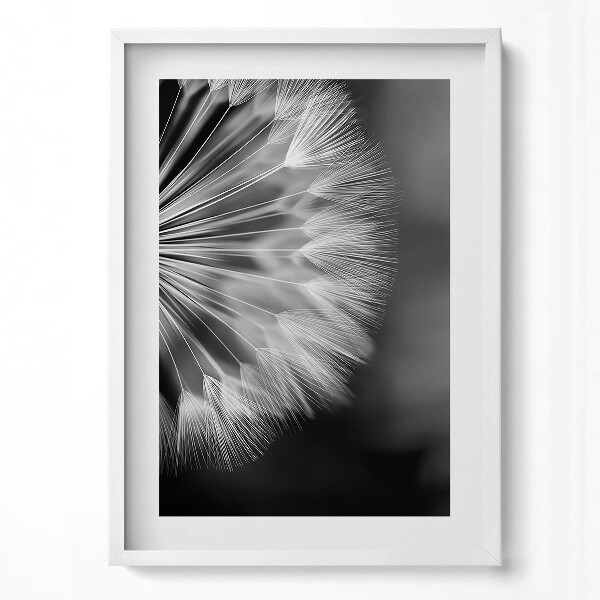 Függőleges kép keretben Dandelion magok részlete