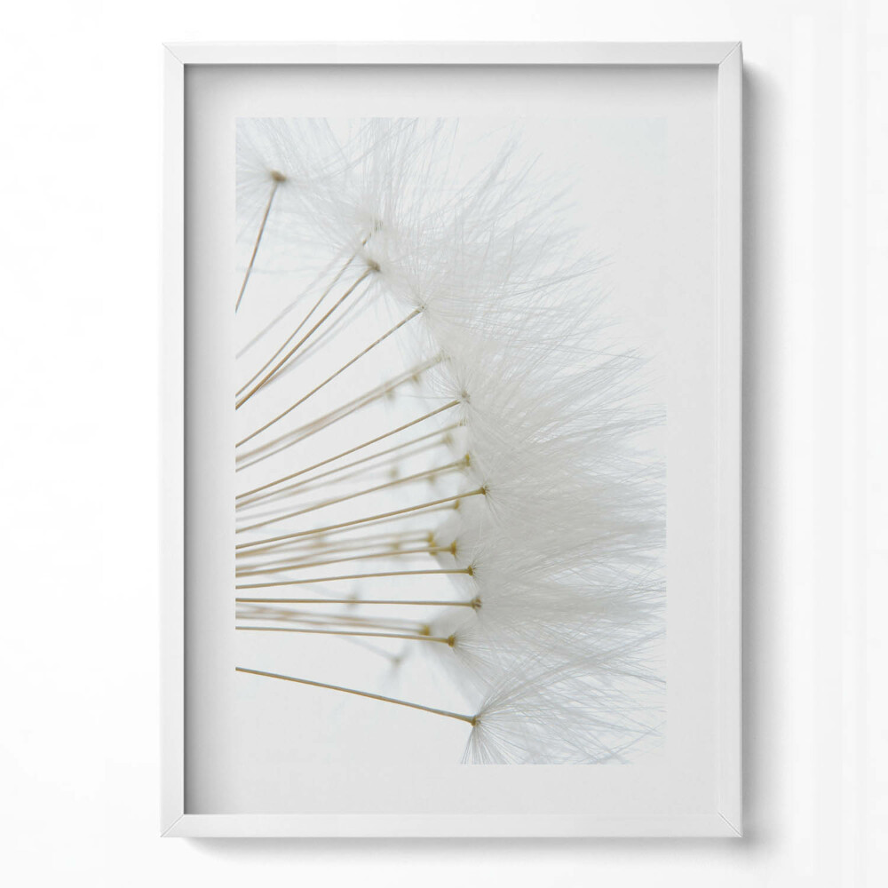 Függőleges kép keretben Fehér pihés virágok