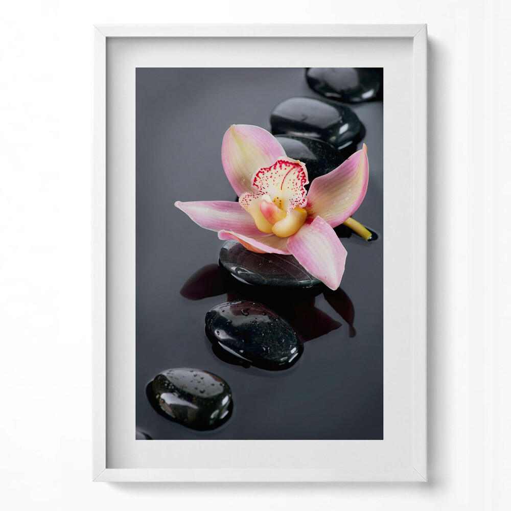 Függőleges kép keretben Rózsaszín virág és fekete kövek