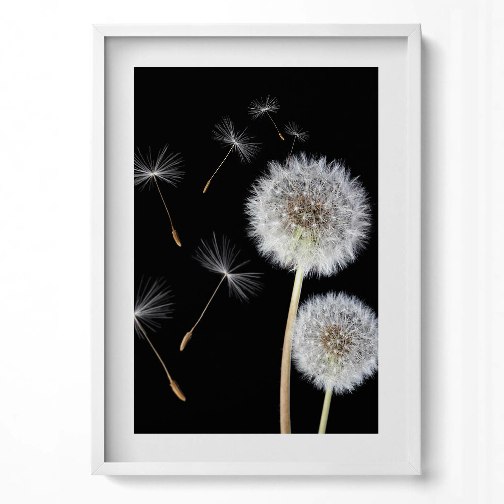 Függőleges kép keretben Pipacsok és lebegő magok