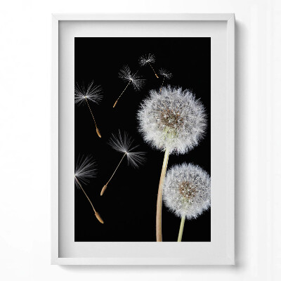 Függőleges kép keretben Pipacsok és lebegő magok