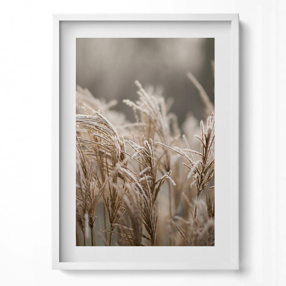 Függőleges kép keretben Fagyott fűszálak természetes táj