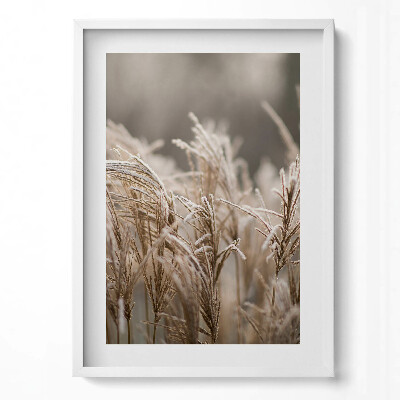 Függőleges kép keretben Fagyott fűszálak természetes táj