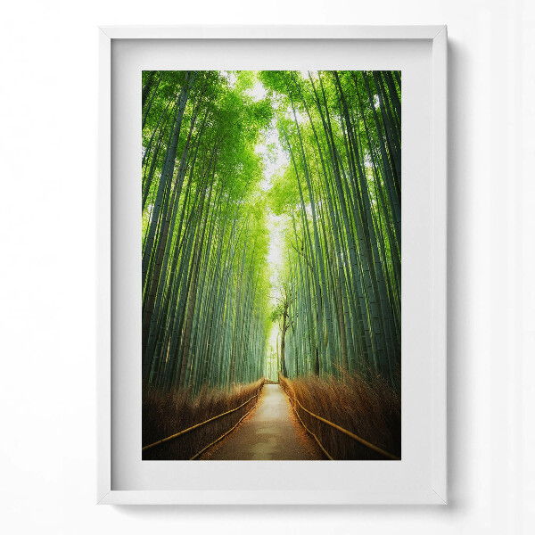 Függőleges kép keretben Bambuszerdő napfényes ösvény