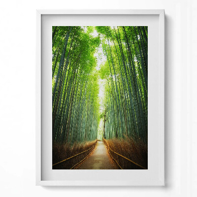 Függőleges kép keretben Bambuszerdő napfényes ösvény