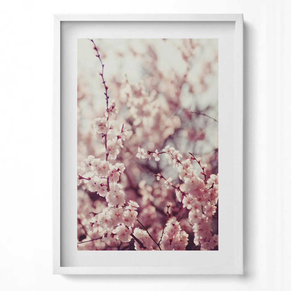 Függőleges kép keretben Rózsaszín virágzó ágak