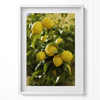 Függőleges kép keretben Szicíliai érett citrom
