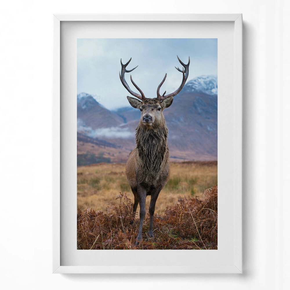 Függőleges kép keretben Szarvas a hegyekben