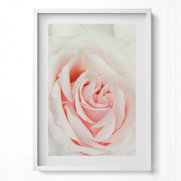 Függőleges kép keretben Rózsaszín rózsa közelképe